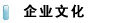 企業(yè)文化